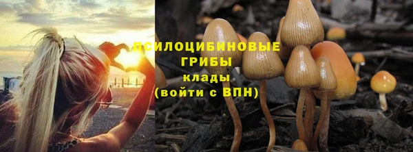 сатива Абаза
