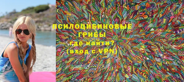 ГАЛЛЮЦИНОГЕННЫЕ ГРИБЫ Алексеевка