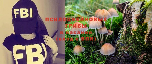 ГАЛЛЮЦИНОГЕННЫЕ ГРИБЫ Алексеевка